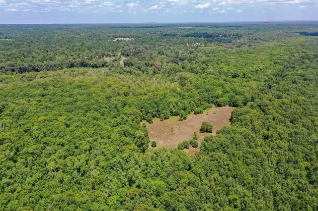 a backyard of a house with lots of trees