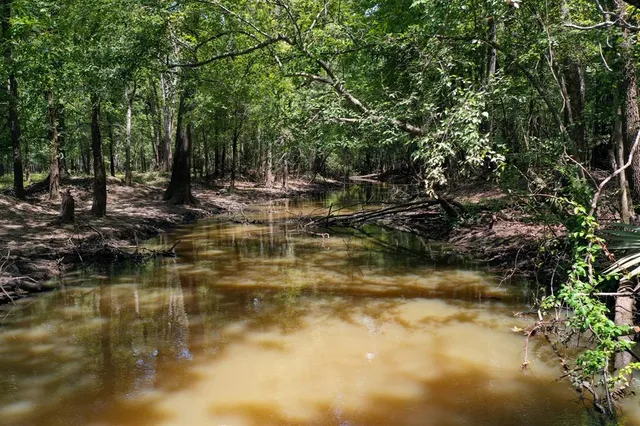 a view of outdoor space and tree