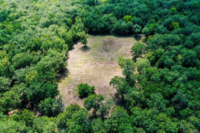 a view of outdoor space with trees all around