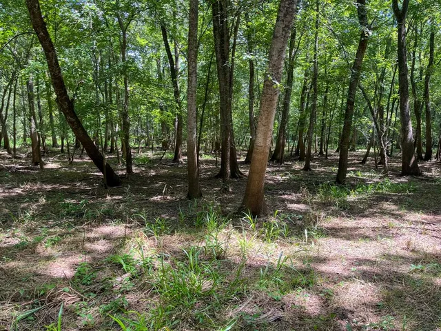 a view of lake with green space