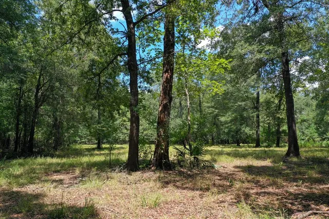 $995,000 | 0 Private Road 1428, Centerville, TX 75833