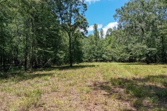 a view of a yard with trees