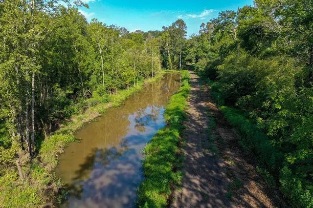 a view of a lake with large trees