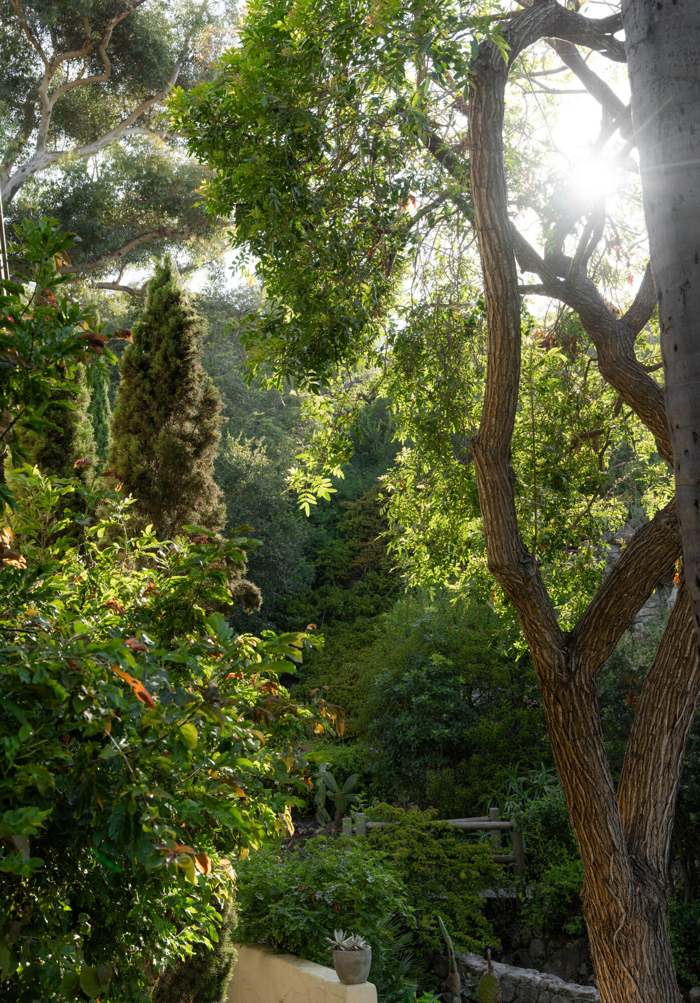 15 Loma Media Road Santa Barbara, CA 93103 - Photo 25 of 29 15 Loma Media Road