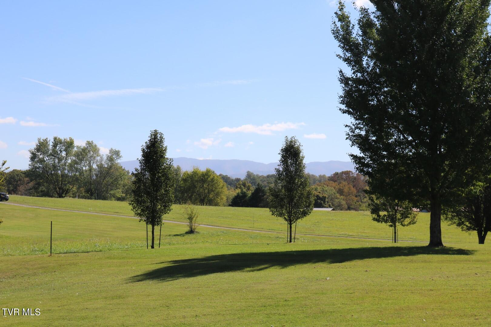 2045 Jones Bridge Road Greeneville, TN 37743 - Photo 21 of 21 IMG_7256