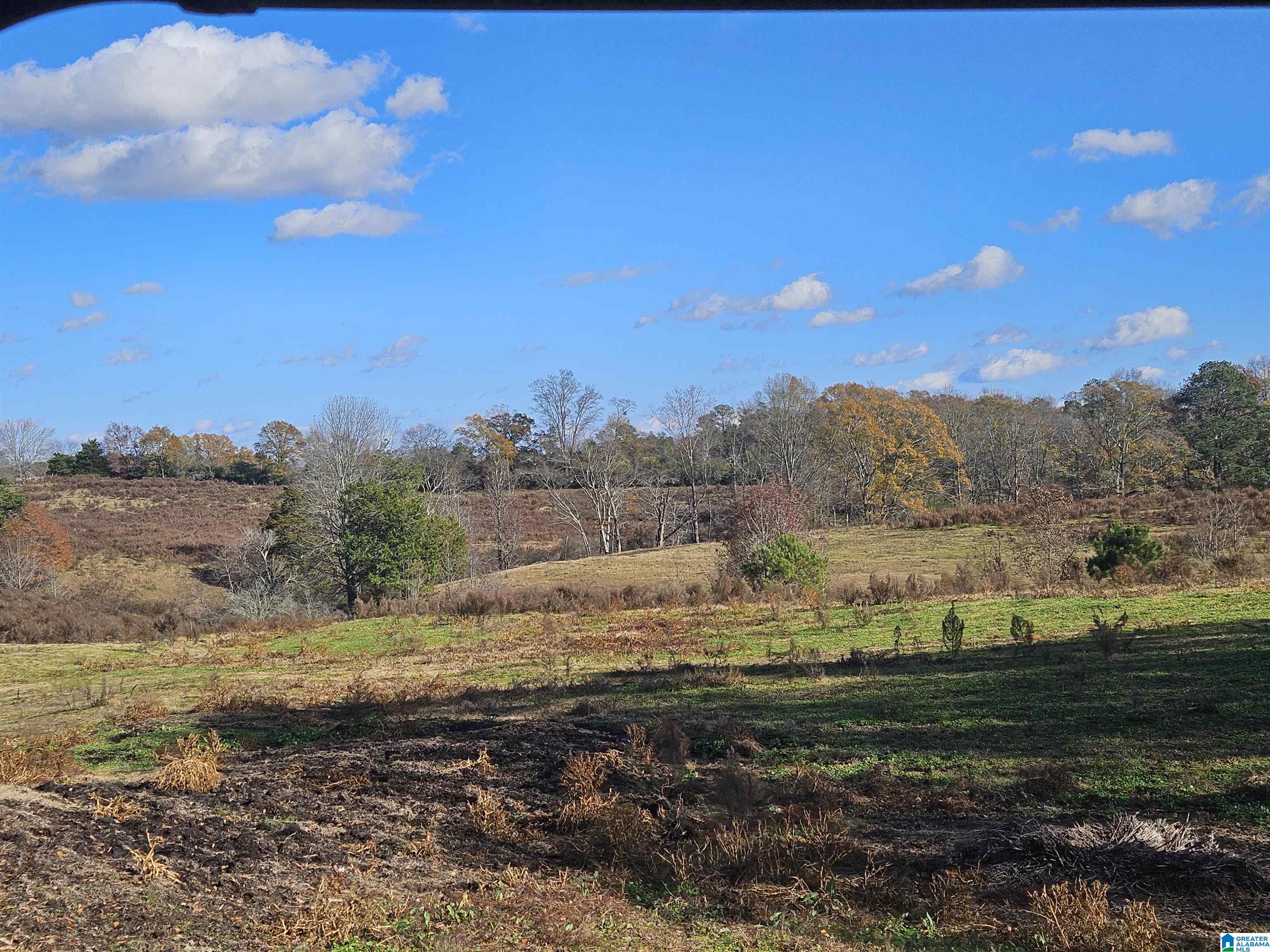682 County Road 832 Logan, AL 35098 - Photo 48 of 48