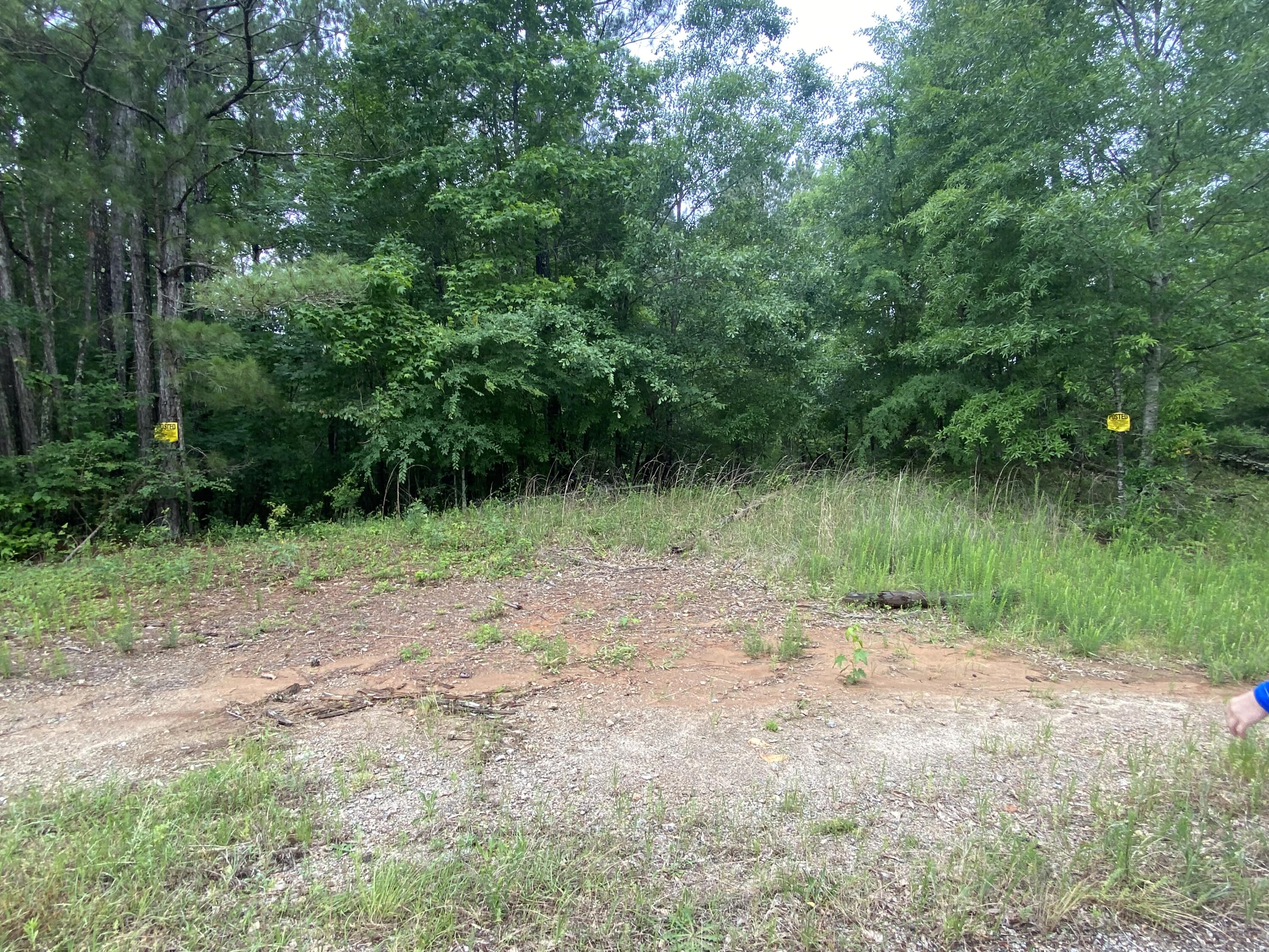 2000 Ridgeview Drive Thomson, GA 30824 - Photo 1 of 1 Frontage