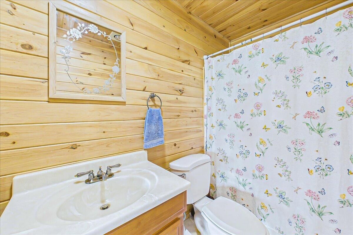 810 Belltown Road Tellico Plains, TN 37385 - Photo 42 of 53