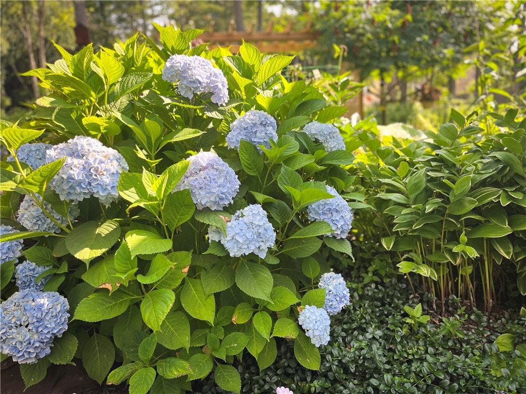 130 Base Bridge Road Williamstown, NY 13493 - Photo 36 of 50