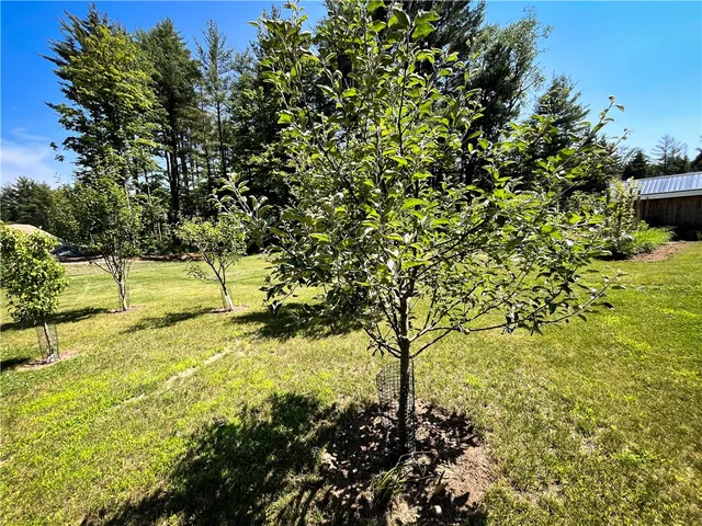 $649,900 | 130 Base Bridge Road, Williamstown, NY 13493