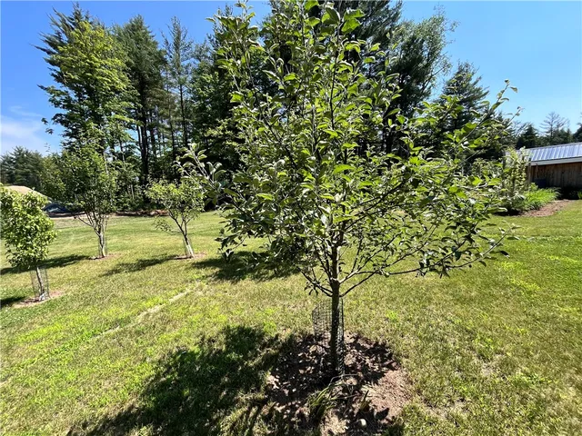 $649,900 | 130 Base Bridge Road, Williamstown, NY 13493