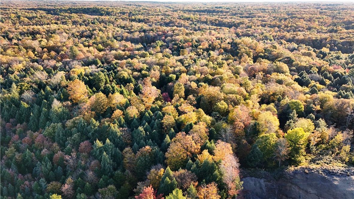 130 Base Bridge Road Williamstown, NY 13493 - Photo 41 of 50