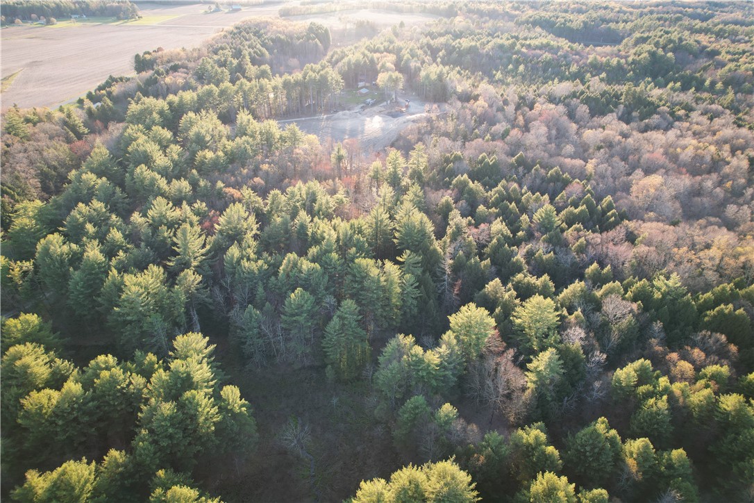 130 Base Bridge Road Williamstown, NY 13493 - Photo 44 of 50