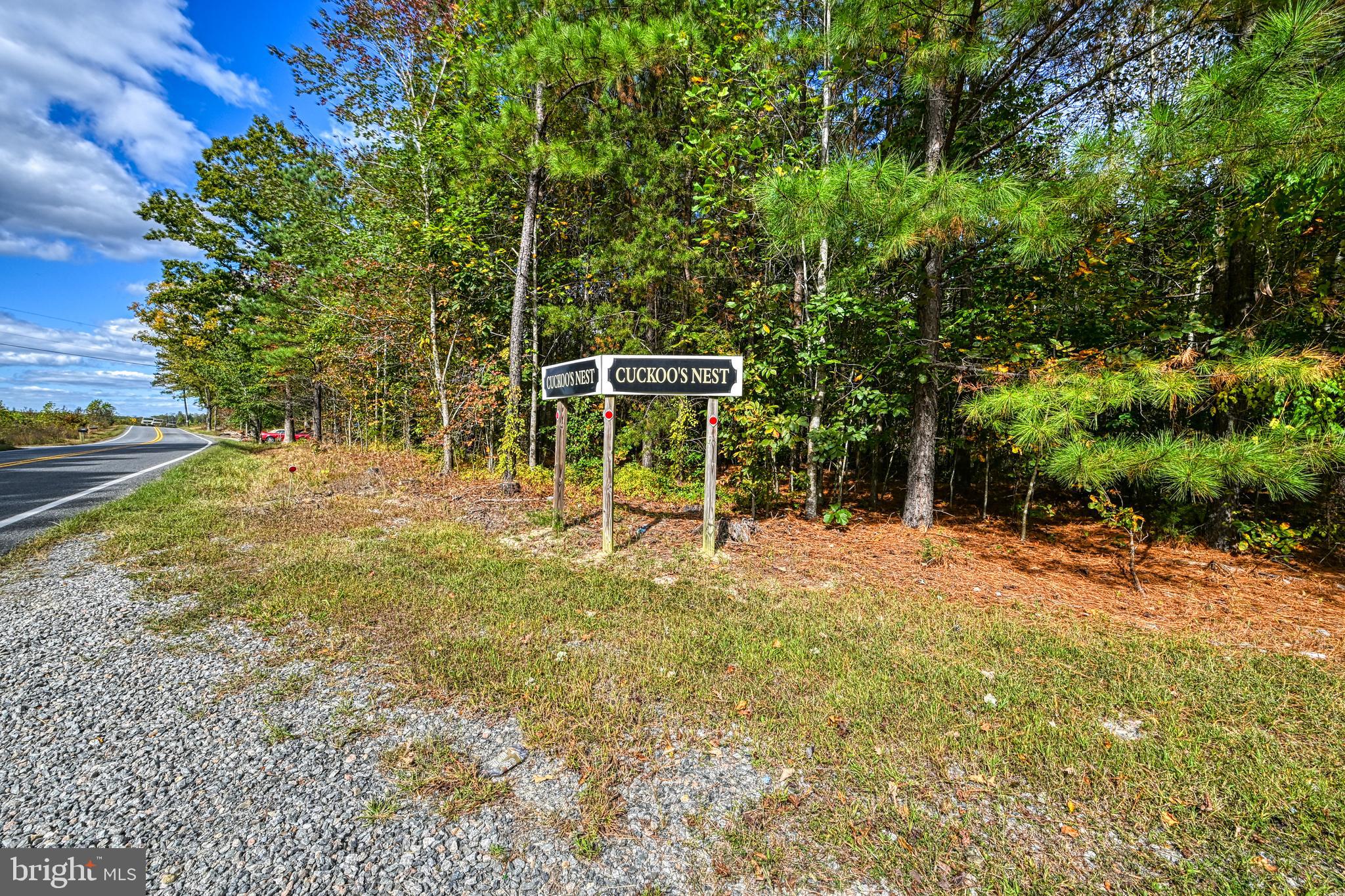 Cross Country Road Mineral, VA 23117 - Photo 10 of 58 Gallery Image 10