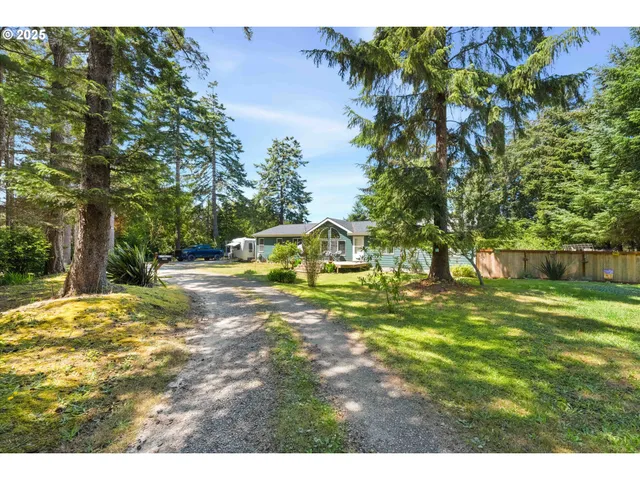 a view of a yard with a tree
