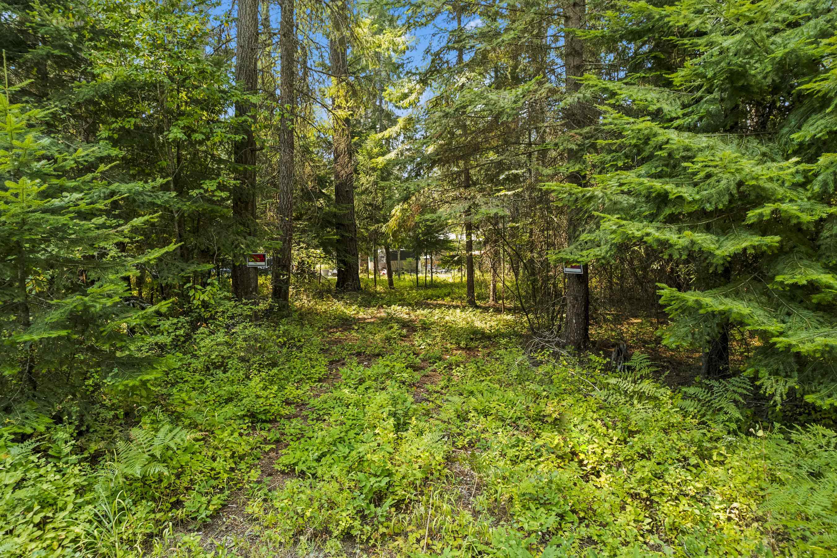 281 Davis Lake Road Usk, WA 99180 - Photo 15 of 20 Gallery Image 15
