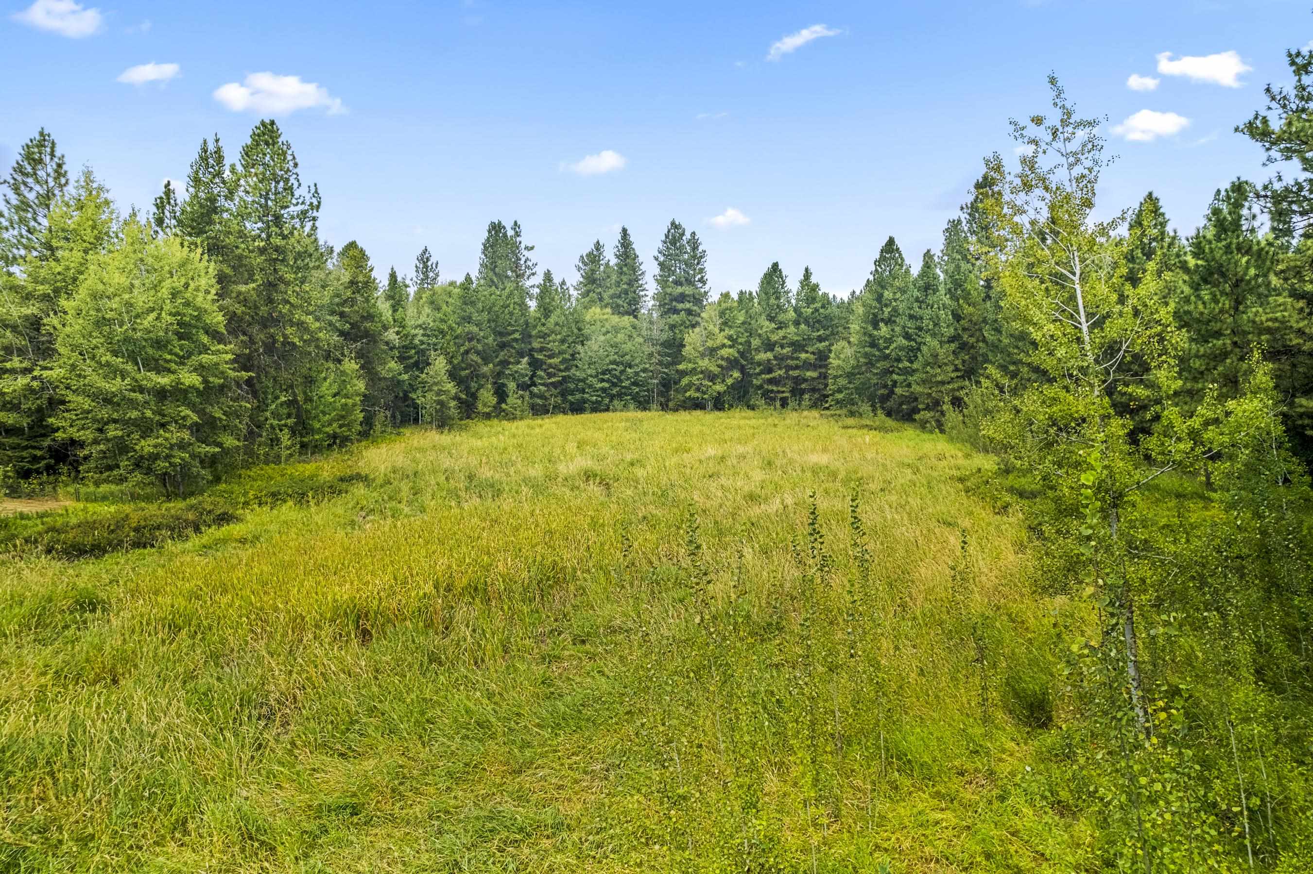 281 Davis Lake Road Usk, WA 99180 - Photo 4 of 20 Gallery Image 4