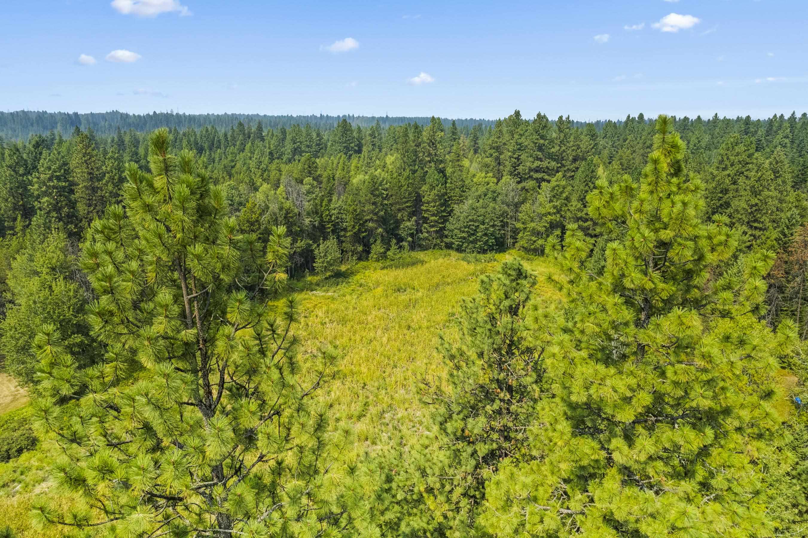 281 Davis Lake Road Usk, WA 99180 - Photo 5 of 20 Gallery Image 5
