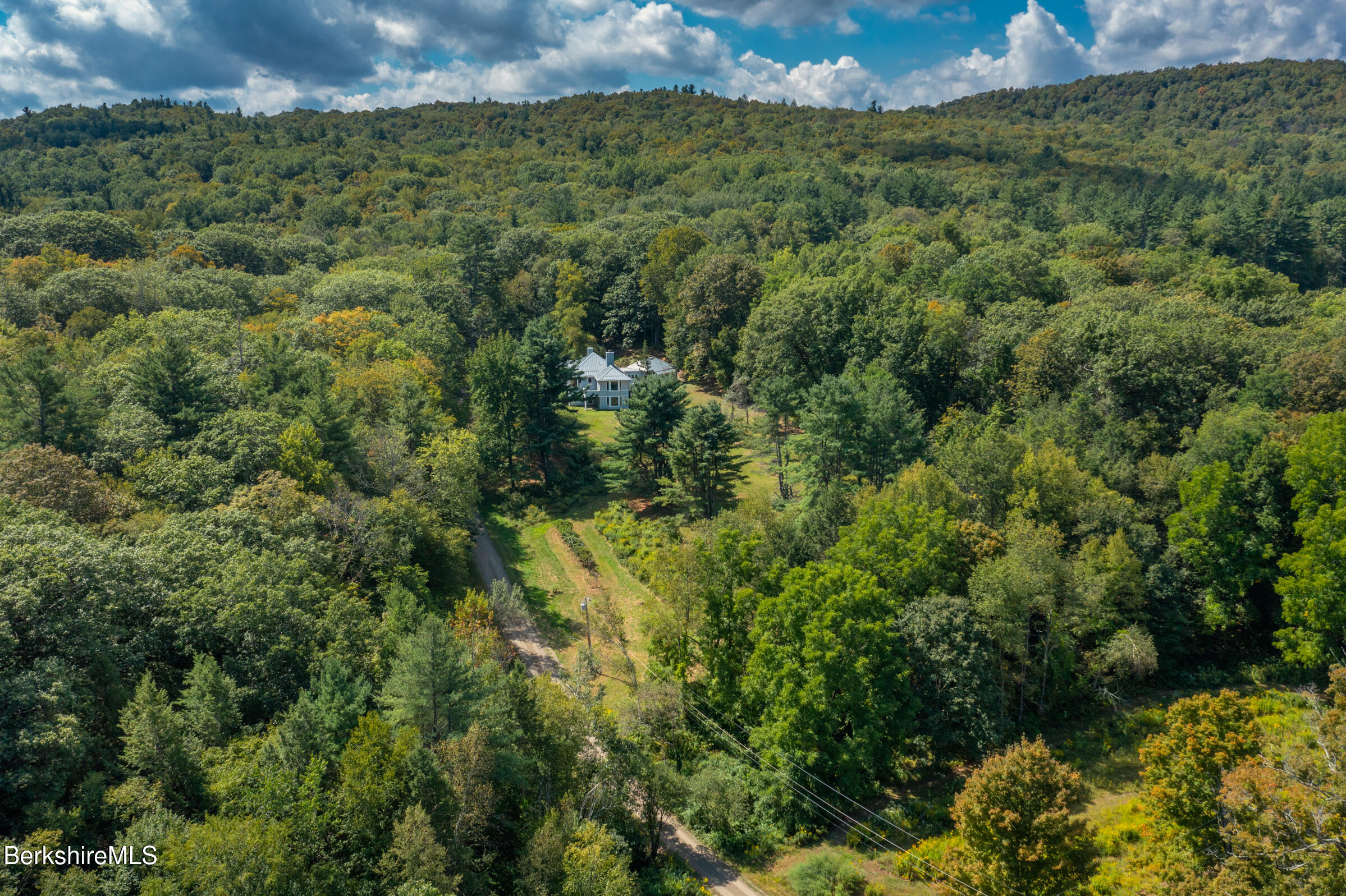 240 Beldingville Road Ashfield, MA 01330 - Photo 36 of 45 a view of a forest with a street