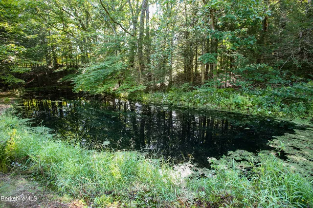 a backyard of a house with a yard and lake view