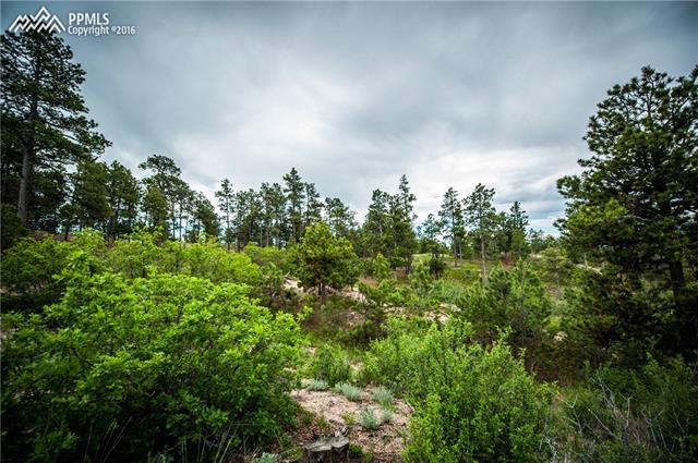 11005 South Holmes Road Colorado Springs, CO 80908 - Photo 15 of 25 Gallery Image 15