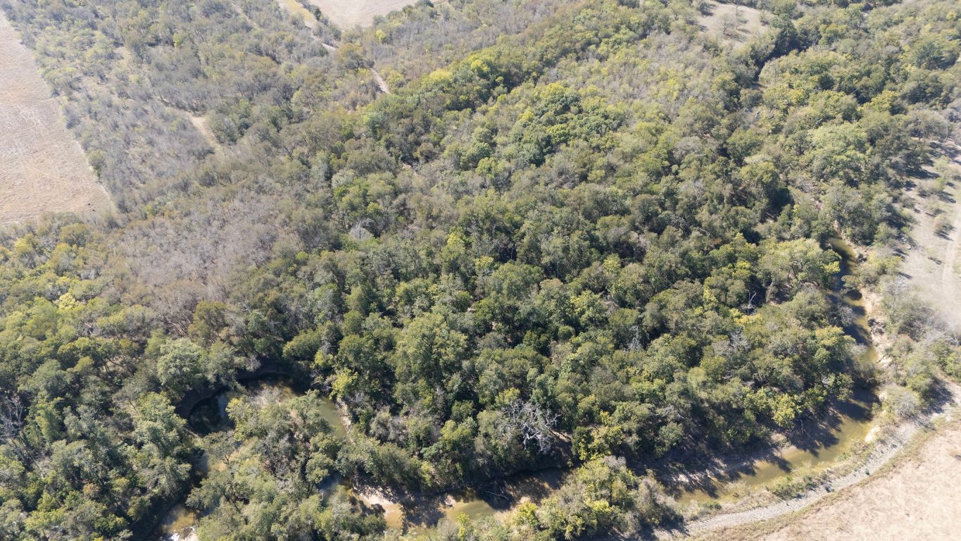 20181 Janak Road Coupland, TX 78615 - Photo 7 of 17