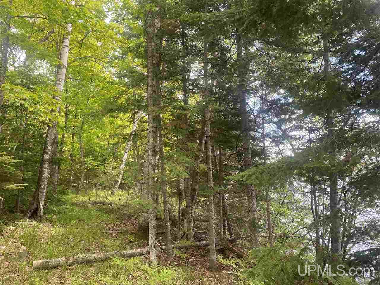 Tbd West Tamarack Lake Road, Unit 17 Iron River, MI 49935 - Photo 13 of 45