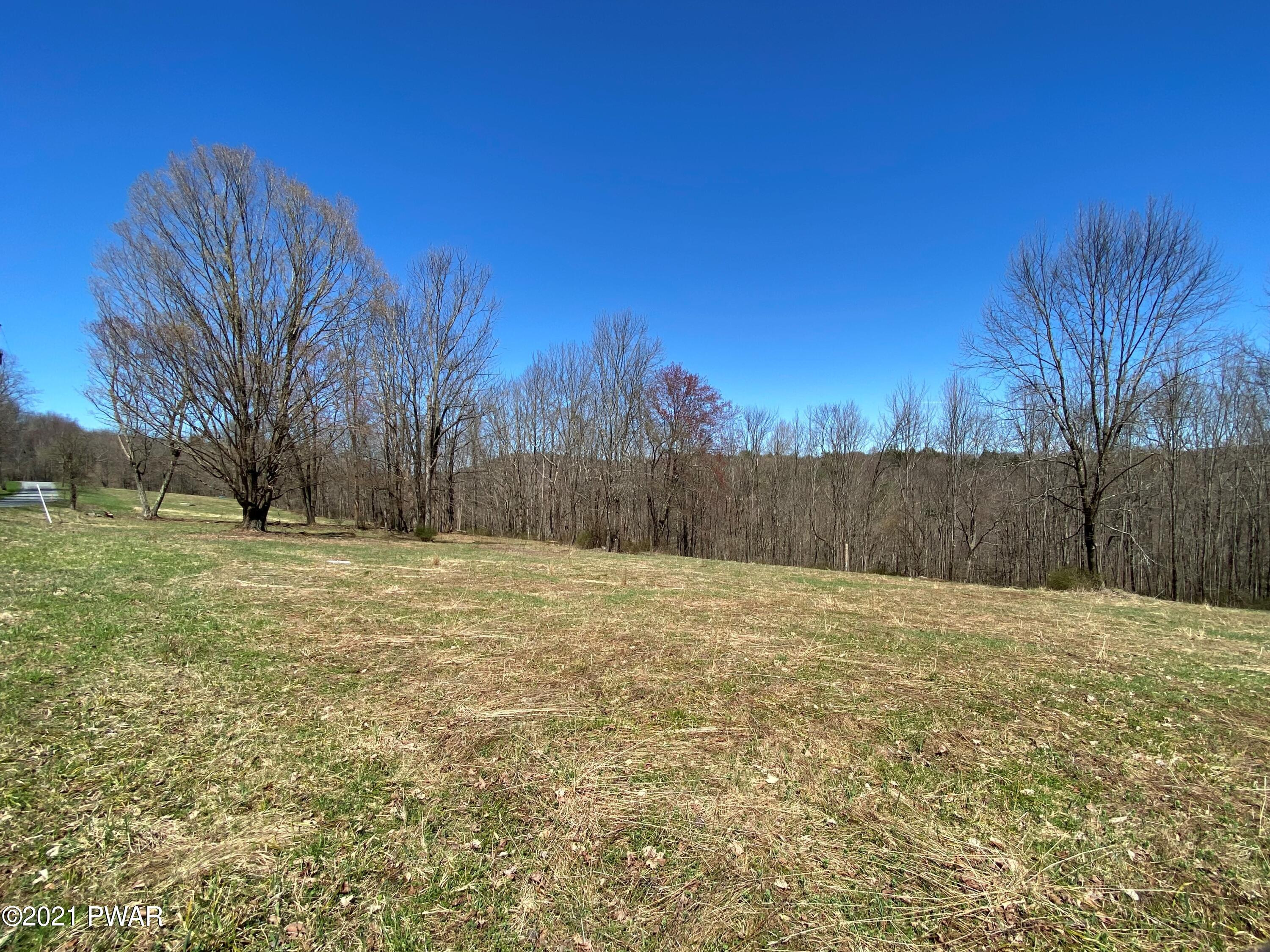 Burns Road Waymart, PA 18472 - Photo 1 of 12 Parcel 2 looking toward Parcel 1