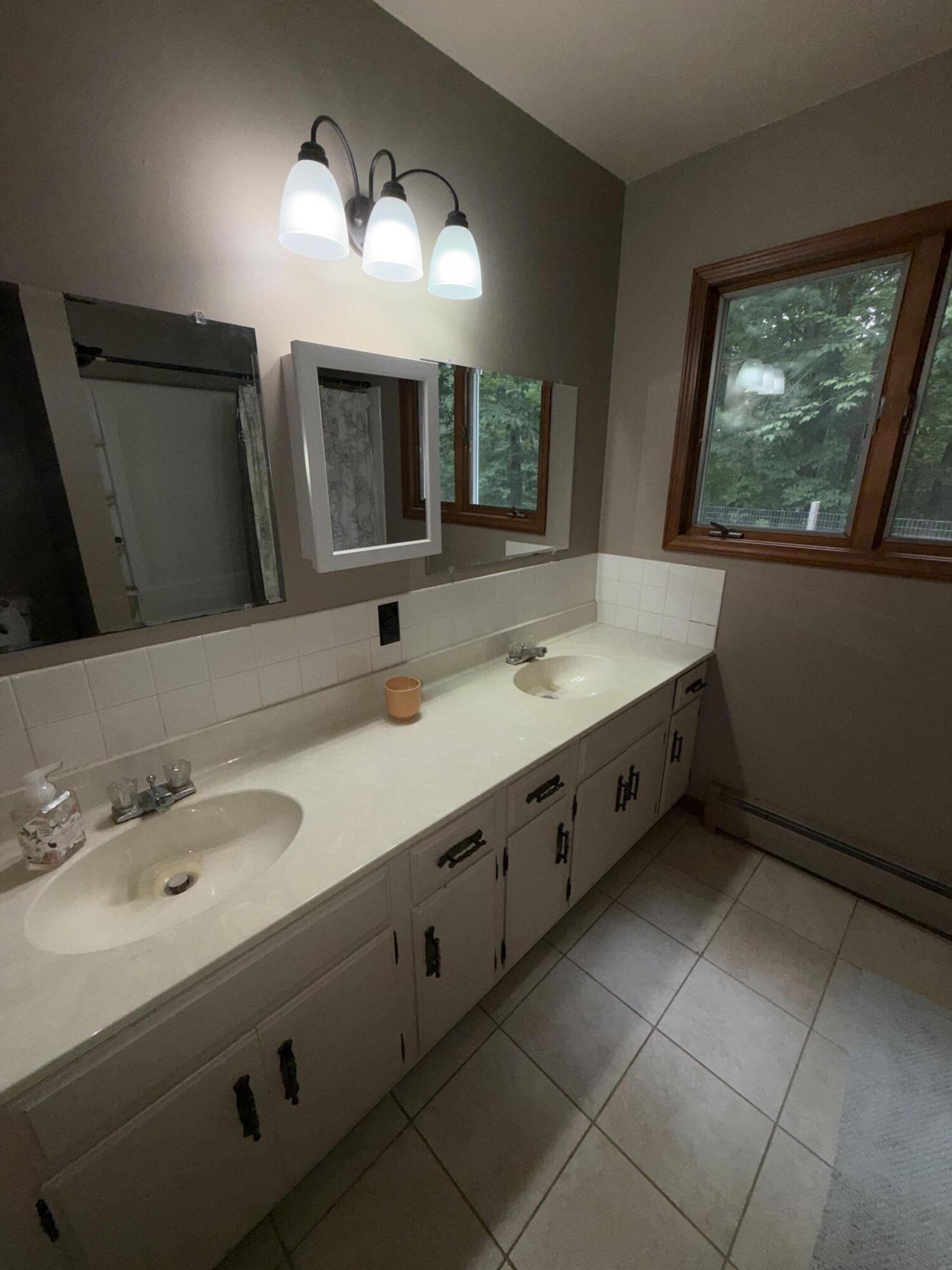 7026 Farr Road Onekama, MI 49675 - Photo 16 of 42 Primary Bathroom