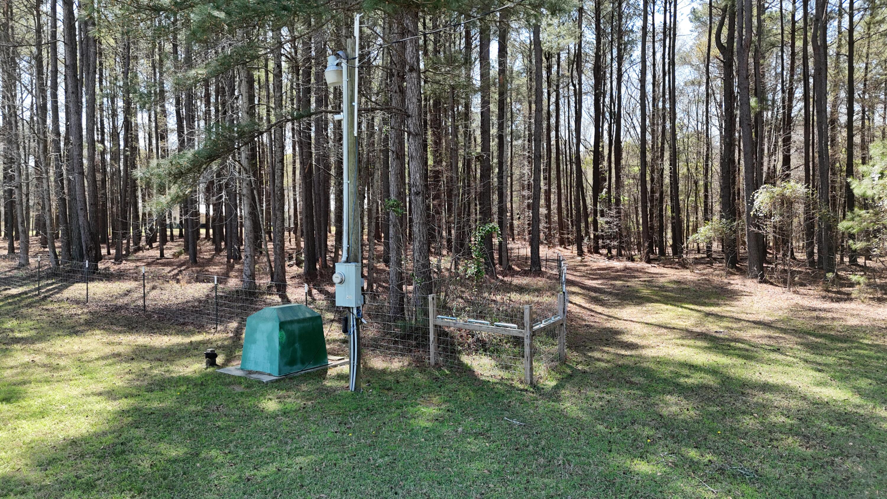 1995 Sam Nexsen Road Summerton, SC 29148 - Photo 61 of 110
