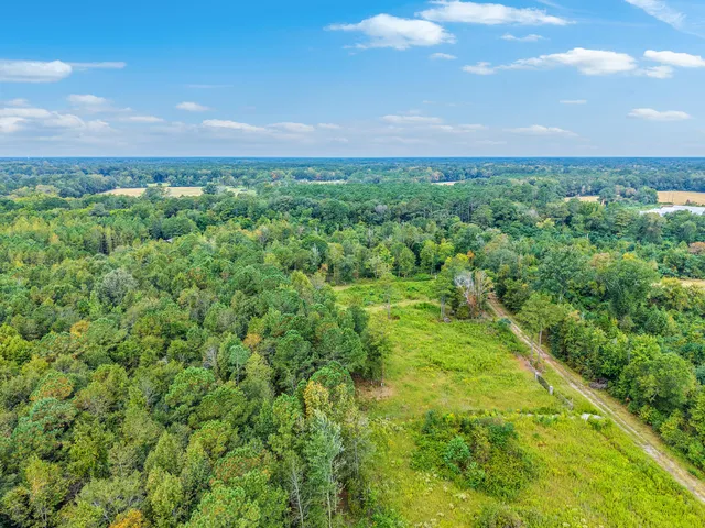 $150,000 | 0 Belfast Avenue, Holly Hill, SC 29059