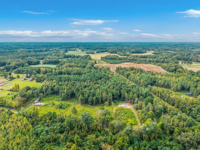 $150,000 | 0 Belfast Avenue, Holly Hill, SC 29059