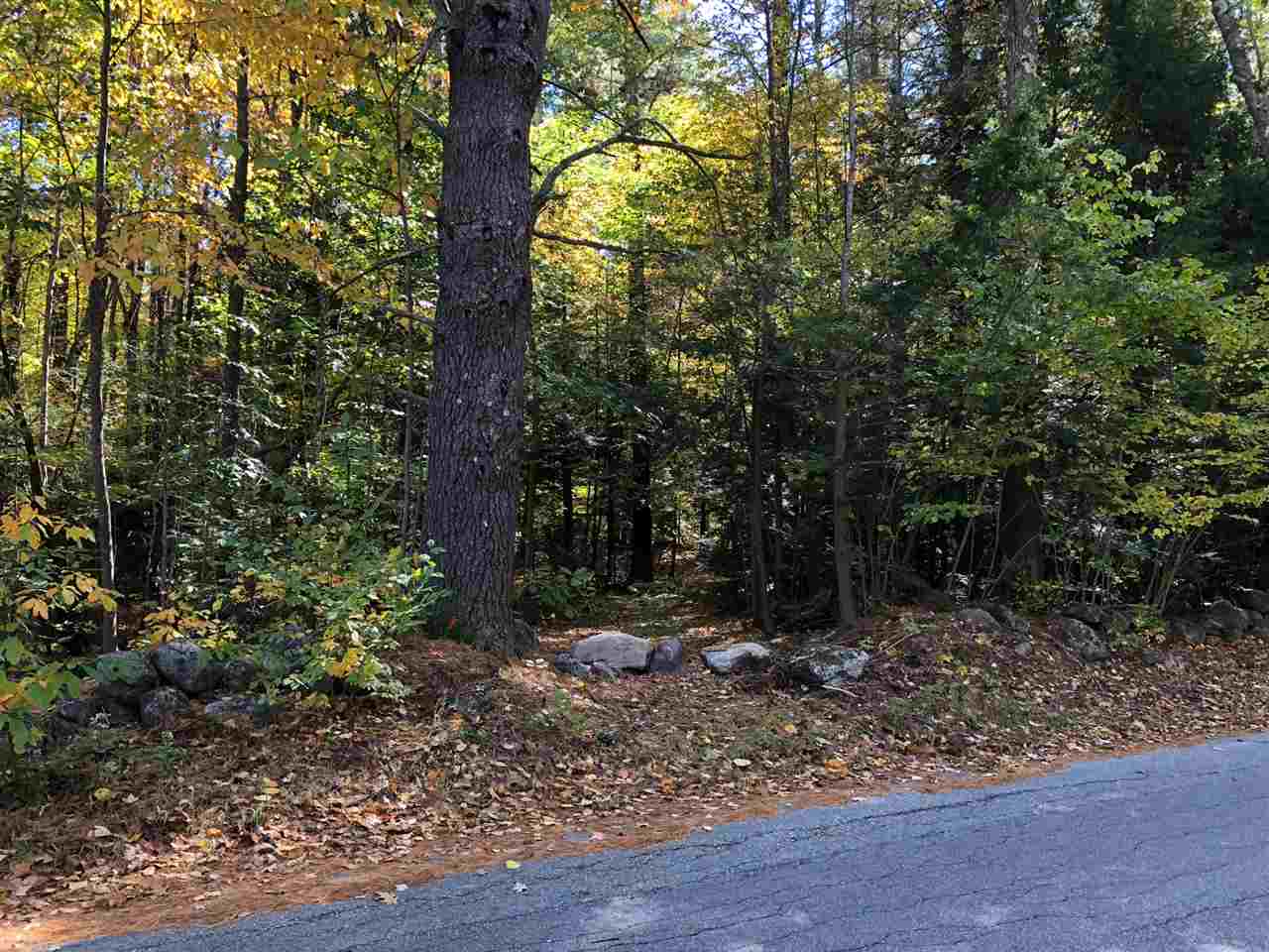 112 Lane Road, Unit 1503 Candia, NH 03034 - Photo 1 of 1