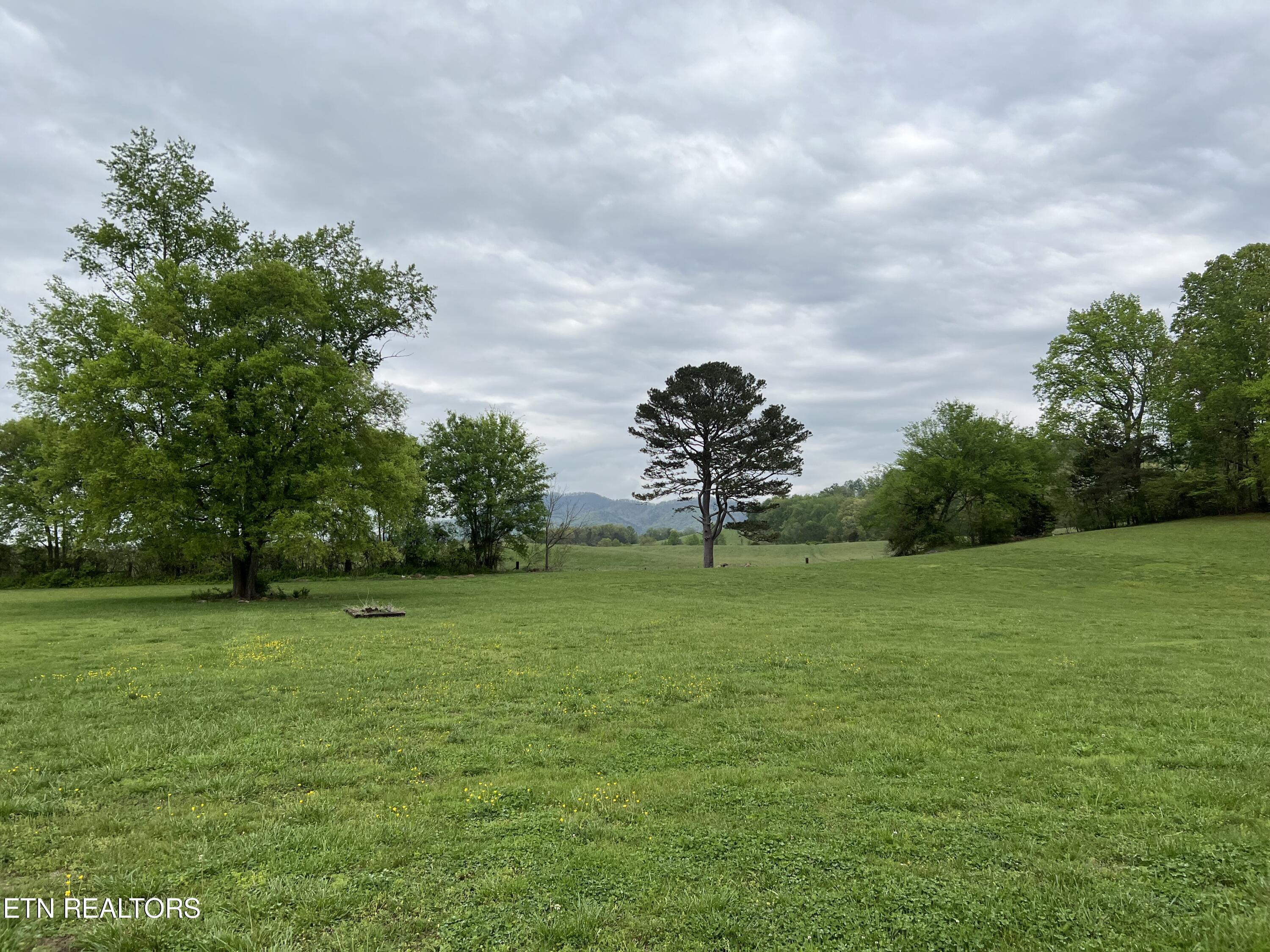 205 Orange Pride Road Newport, TN 37821 - Photo 11 of 50 IMG_8327