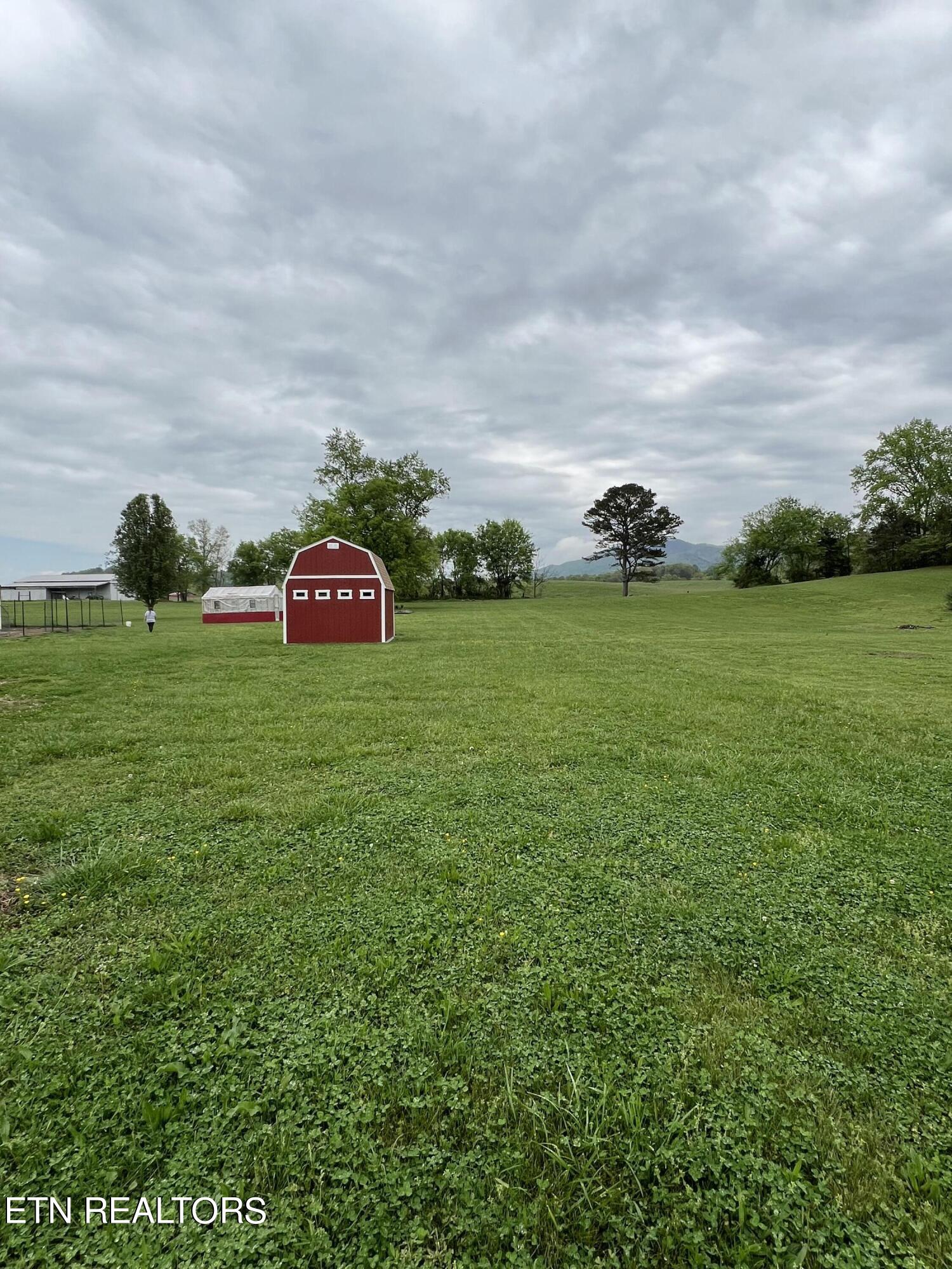 205 Orange Pride Road Newport, TN 37821 - Photo 14 of 50 IMG_8322