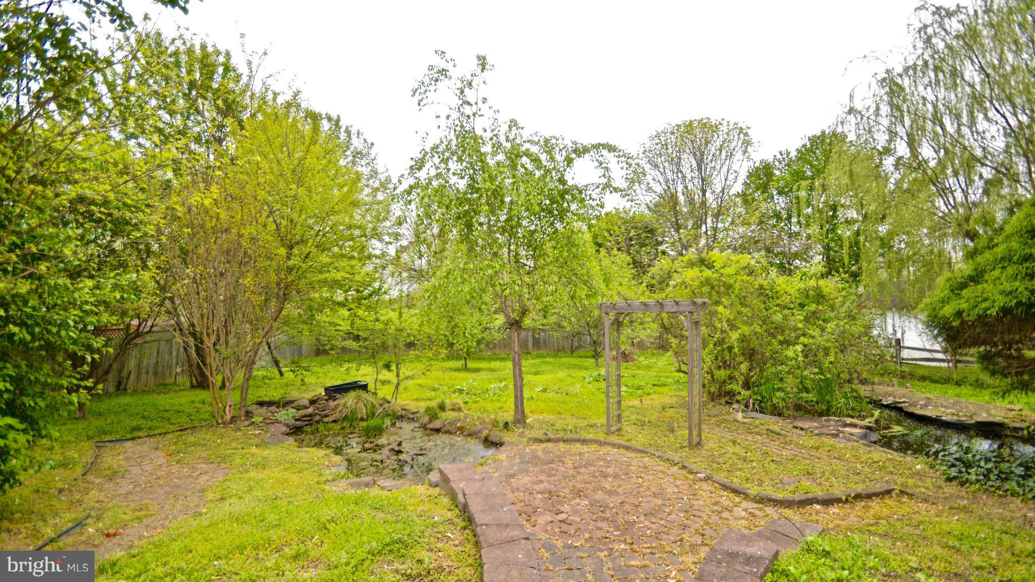 3827 Pippins Place Point of Rocks, MD 21777 - Photo 17 of 22 a view of a yard with an trees