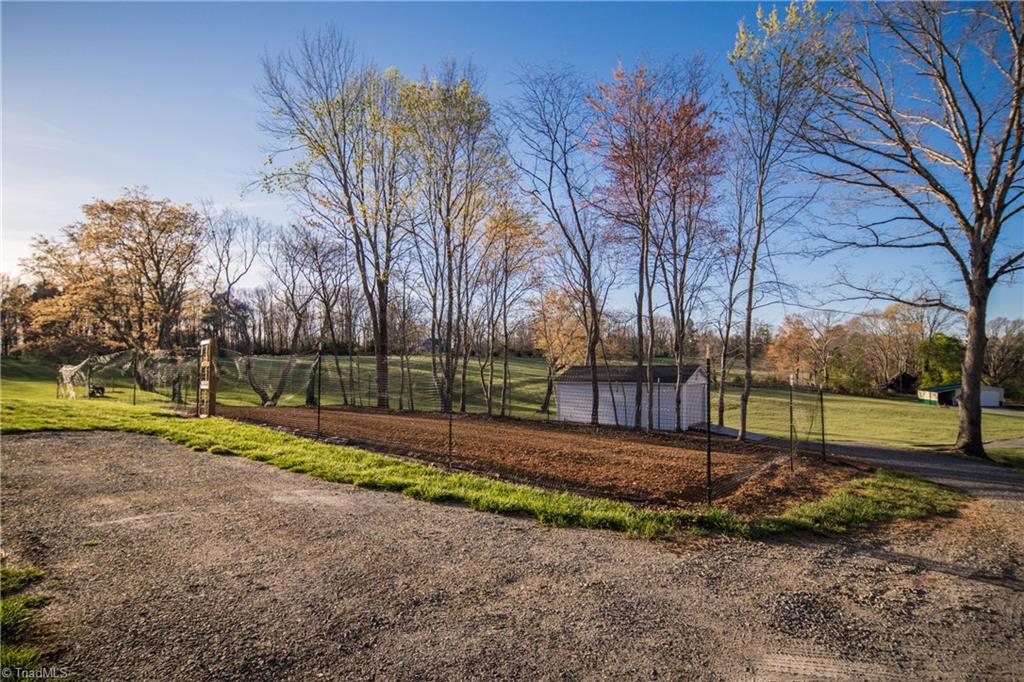 1626 Black Mountain Road Pilot Mountain, NC 27041 - Photo 38 of 47