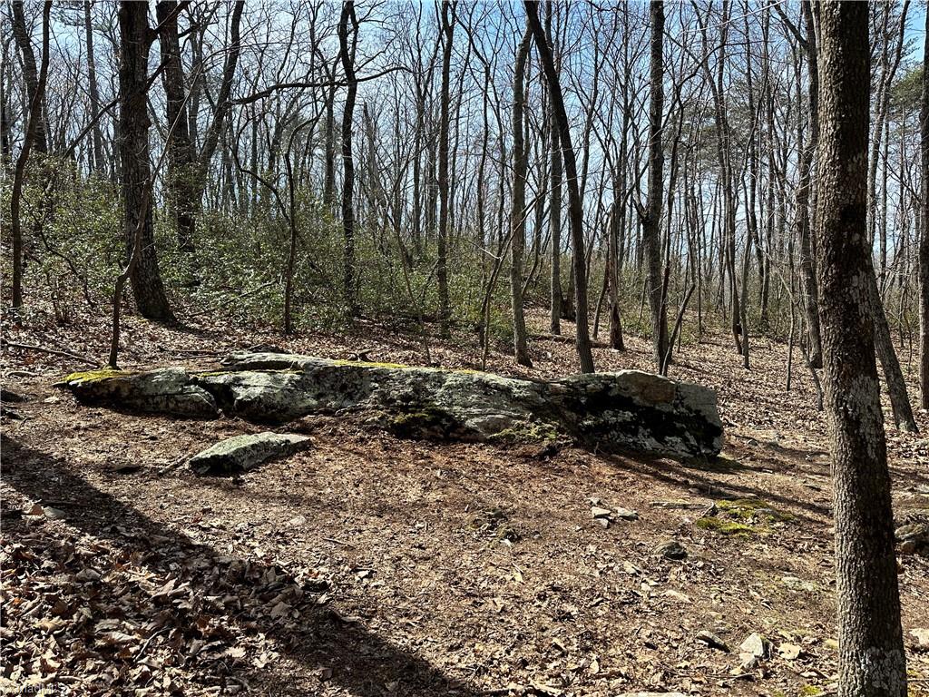 1626 Black Mountain Road Pilot Mountain, NC 27041 - Photo 45 of 47