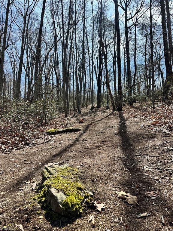 1626 Black Mountain Road Pilot Mountain, NC 27041 - Photo 46 of 47