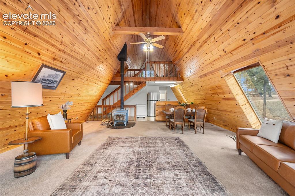 873 Trail Creek Road Lake George, CO 80827 - Photo 11 of 32