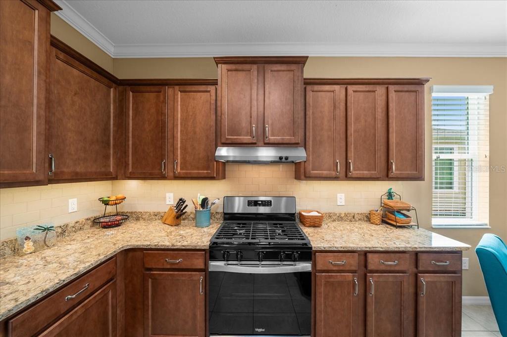 9642 Southwest 95th Loop Ocala, FL 34481 - Photo 38 of 94 Gallery Image 38