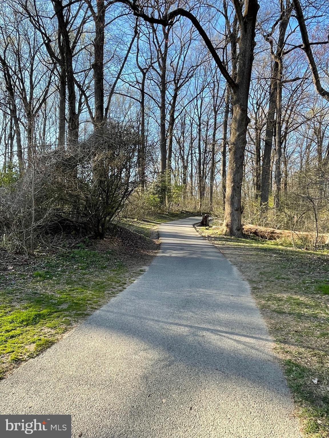 10201 Procter Street Silver Spring, MD 20901 - Photo 25 of 28 Trail along Sligo Creek