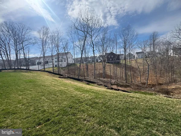 a view of a yard with large trees