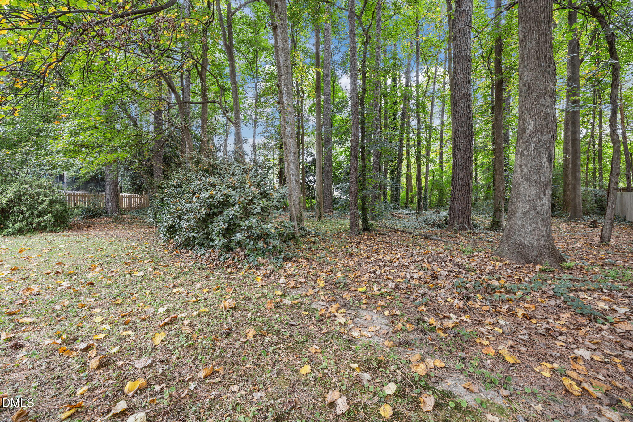 7716 Fiesta Way Raleigh, NC 27615 - Photo 32 of 41 44-web-or-mls-IMG_1586