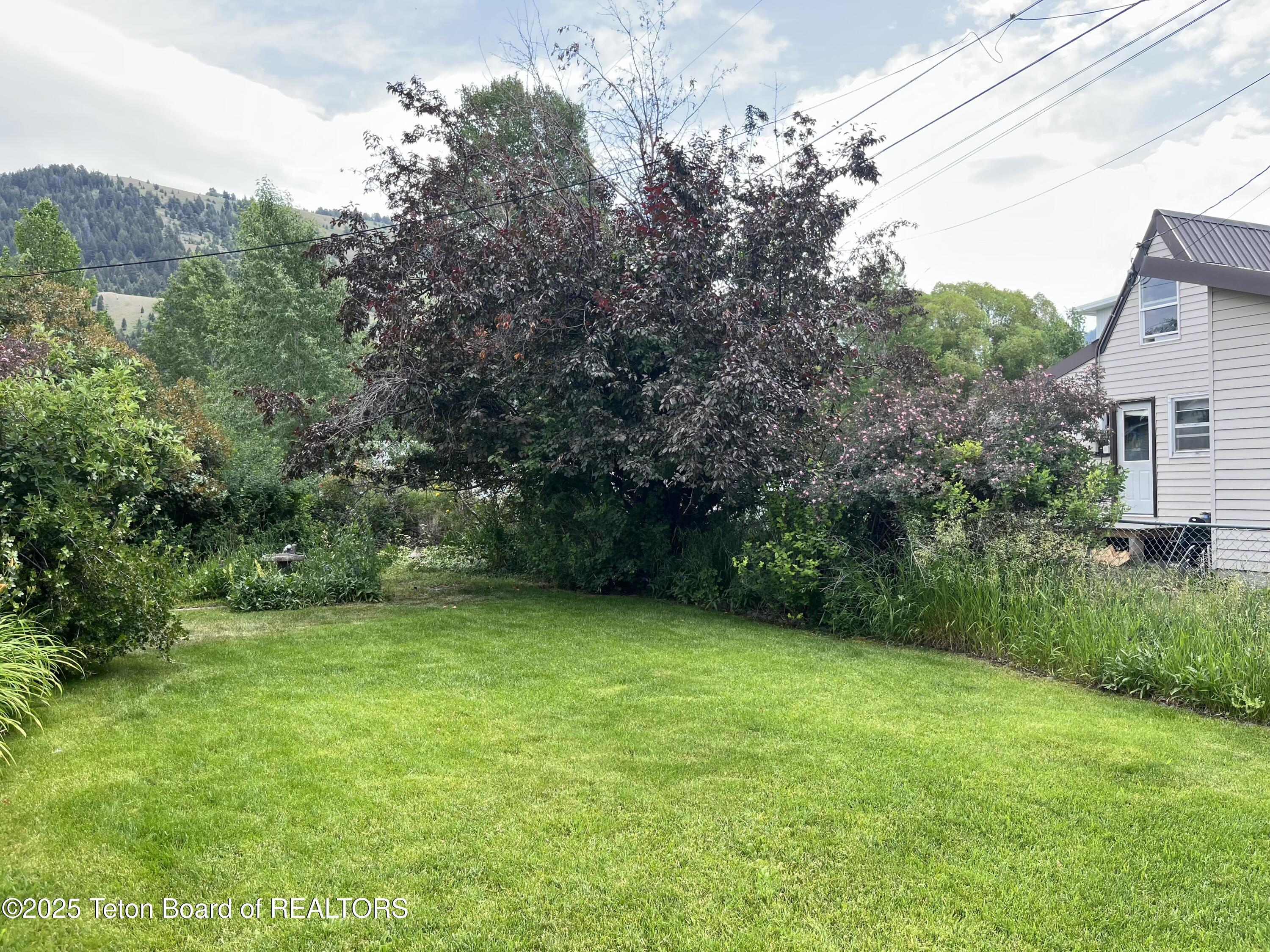 700 Pearl Street Jackson, WY 83001 - Photo 40 of 47 IMG_4279