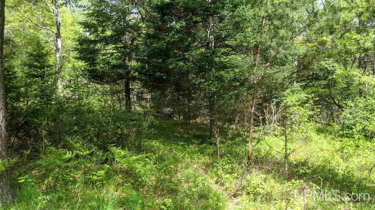 T-wi Wi 54121 Road Florence, WI 54121 - Photo 4 of 11