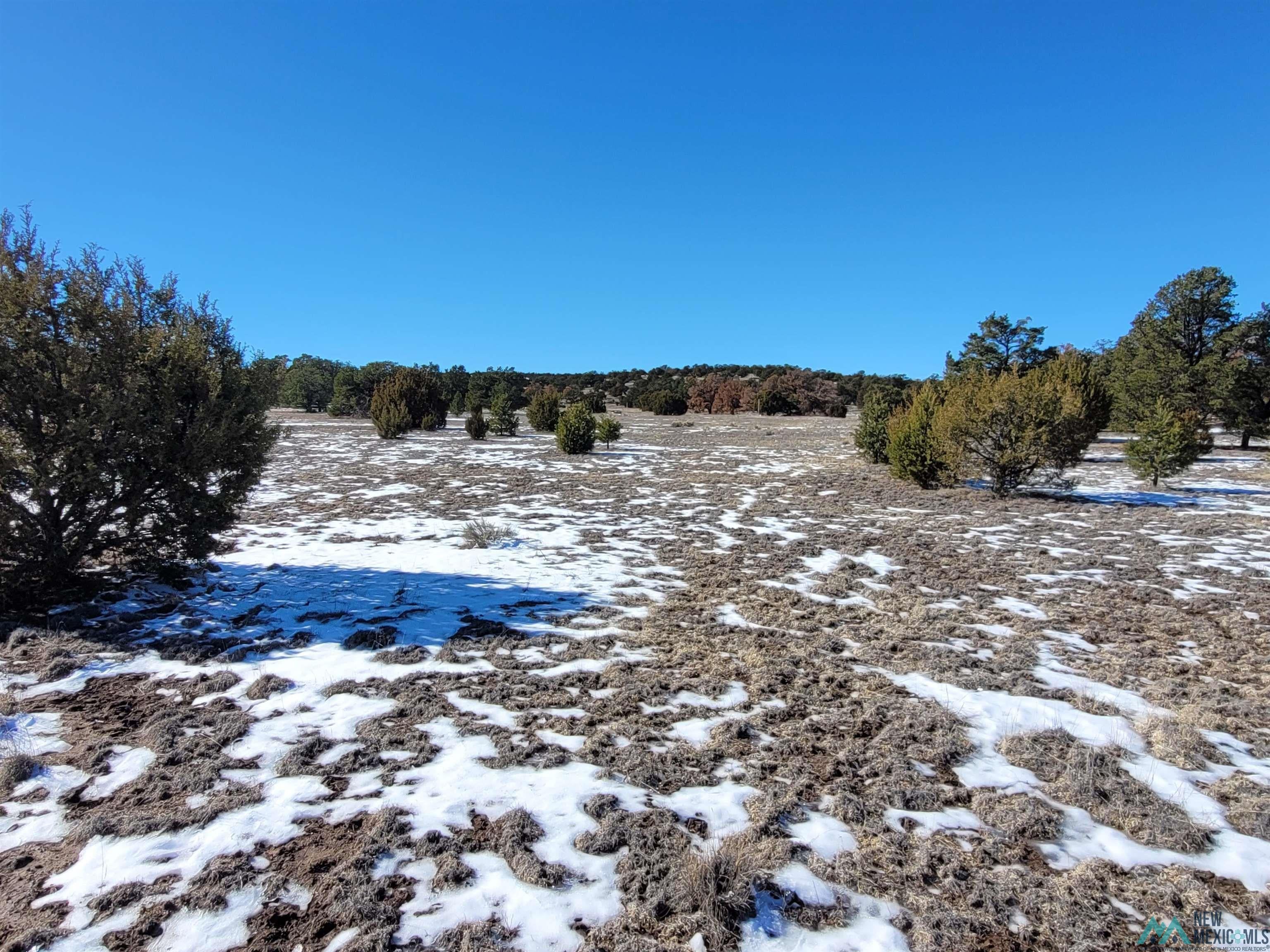 1 Jackass Lane, Unit 1 Datil, NM 87821 - Photo 35 of 46 View of snow covered land