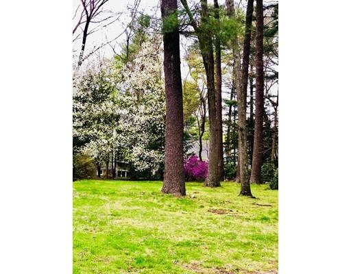 189 Edgewater Drive Needham, MA 02492 - Photo 4 of 6