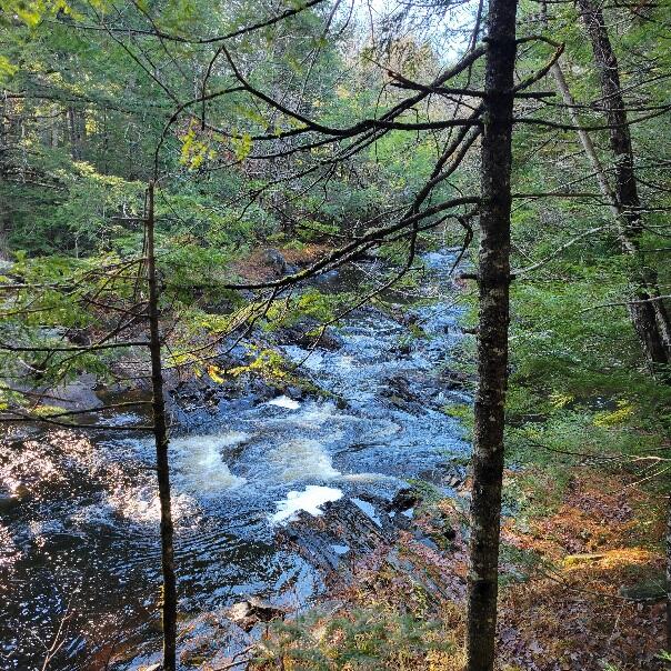 143 East Branch Road Howland, ME 04448 - Photo 10 of 81 Peaceful