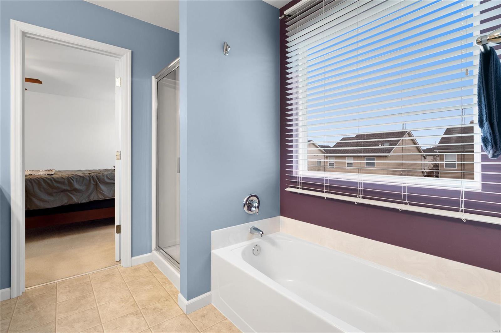 407 Spring Trace O'Fallon, MO 63368 - Photo 17 of 28
